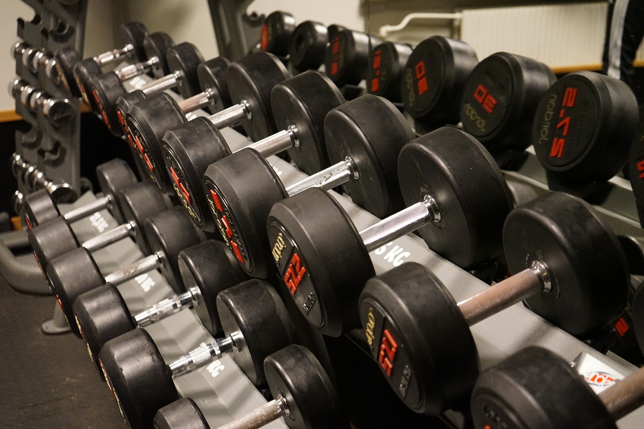 Une rangée d'haltères de différentes tailles sur un support de musculation dans une salle de sport.