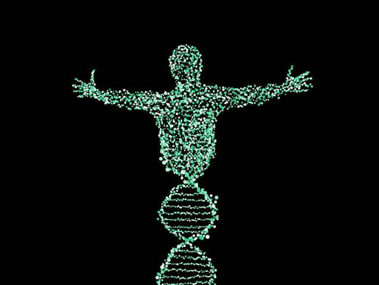 Comment améliorer son ADN ?