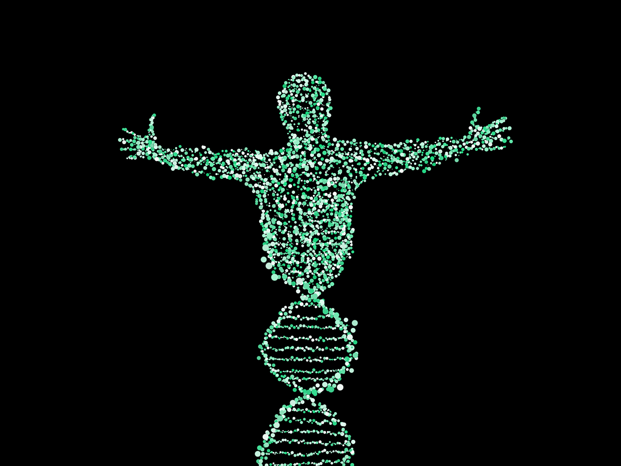 Silhouette humaine numérique composée de structures d'hélice d'ADN vert, symbolisant l'intersection de la technologie et de la génétique.