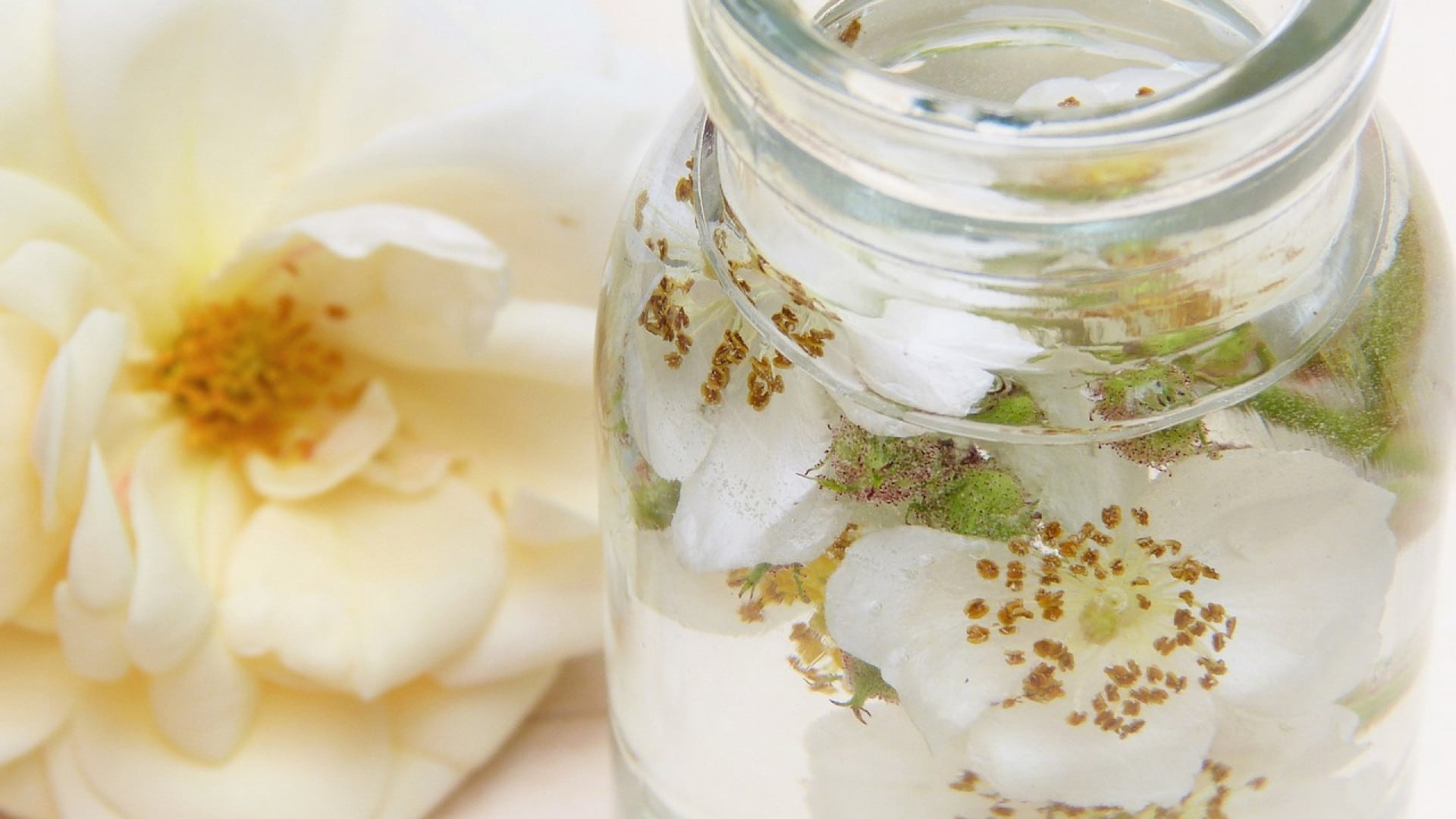 Gros plan d'une fleur de rose à côté d'un pot en verre avec des pétales et des gouttelettes d'humidité, optez pour ce déodorant naturel.