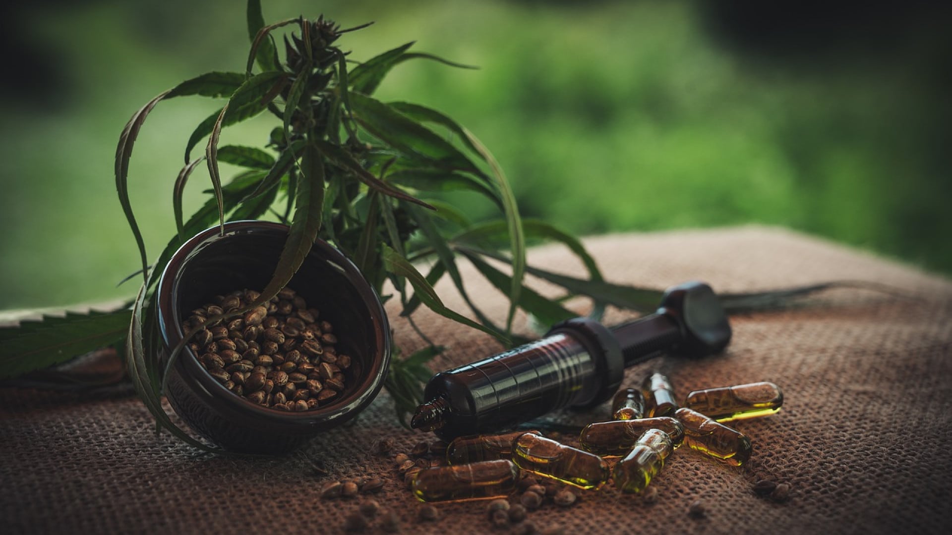 Plante de cannabis avec graines, capsules d'huile de CBD et seringue sur une surface en toile de jute.