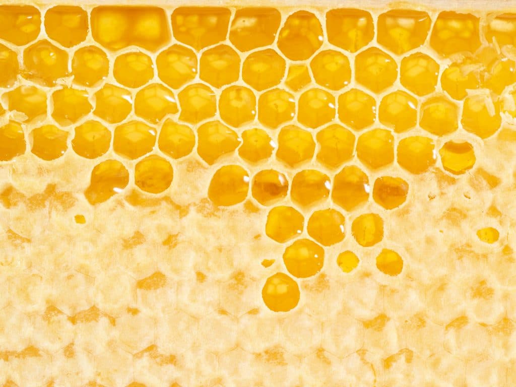 Savoir différencier un bon miel d'un mauvais miel