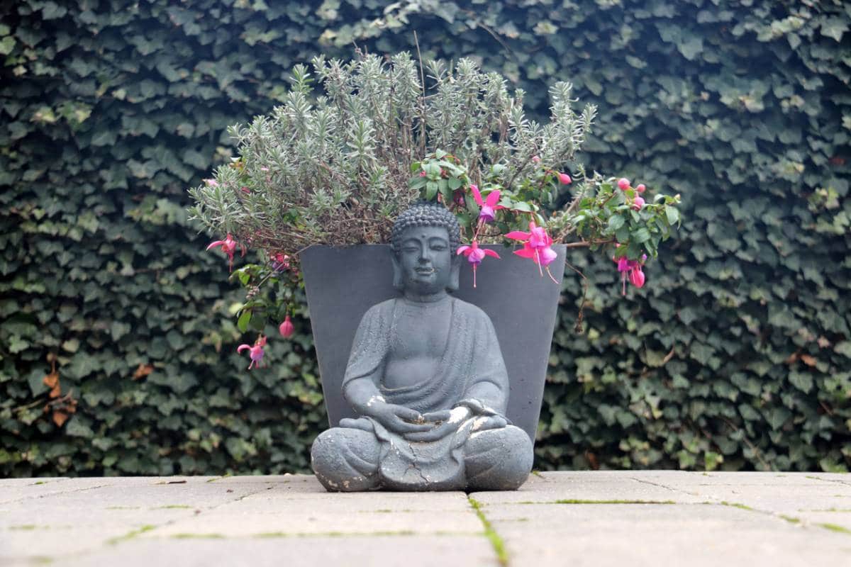 Une statue de bouddha, symbolisant le succès, servant de cache-pot à un arbuste en fleurs sur fond de haie.
