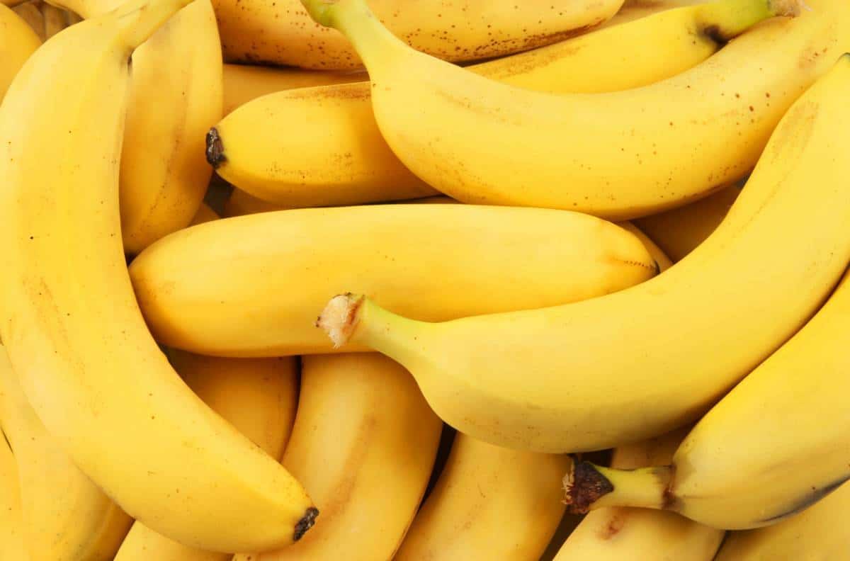 Une grappe de bananes mûres avec une couleur jaune uniforme offre des avantages sportifs.