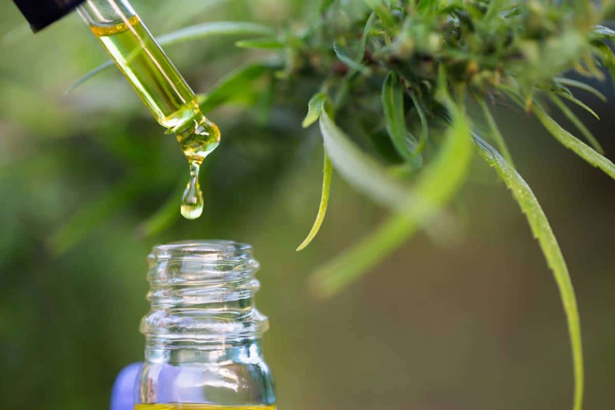 Compte-gouttes distribuant un liquide visqueux dans une petite bouteille avec une plante de cannabis en arrière-plan.