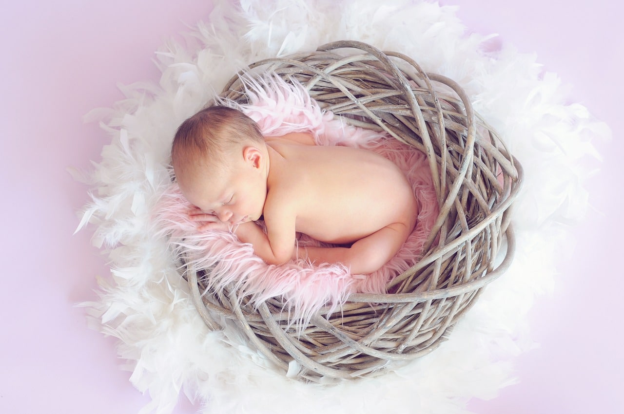 Nouveau-né dormant paisiblement dans un panier en forme de nid avec des plumes rose tendre, l'air serein malgré une "rhume".