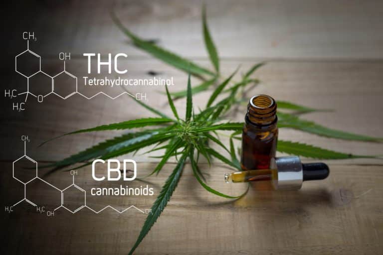 THC-P : Exploration du nouveau composé puissant du cannabis
